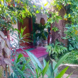 Gangula Eco Sigiriya